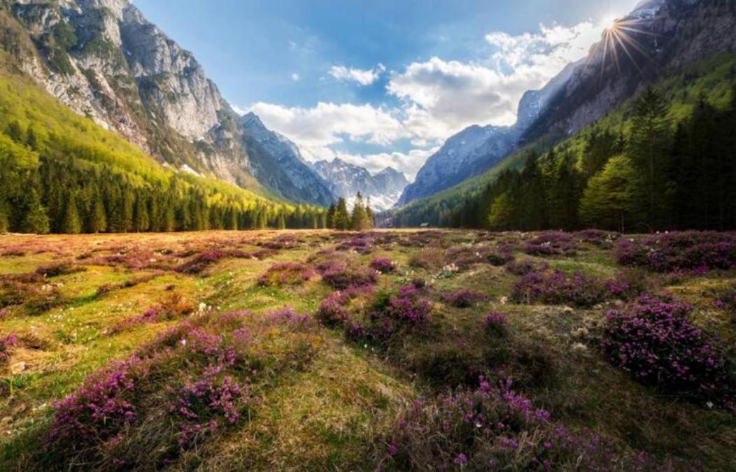 Fairytale Cottage - Peaceful Getaway Near Bled زغورنجي المظهر الخارجي الصورة