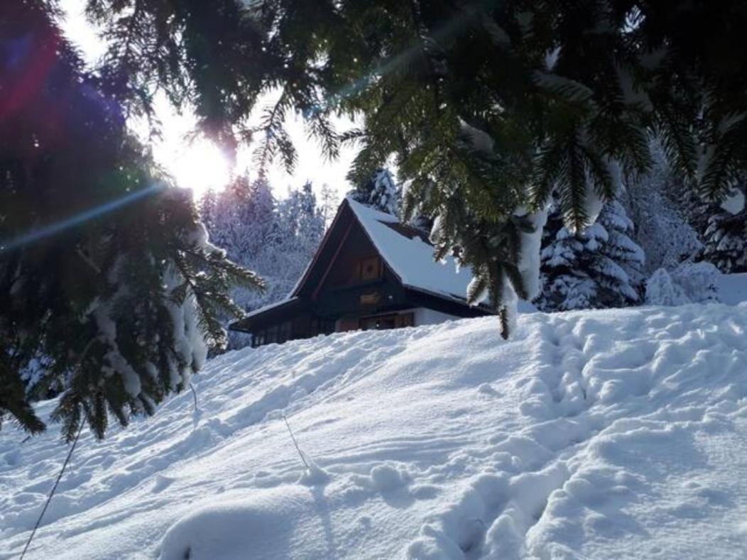 Fairytale Cottage - Peaceful Getaway Near Bled زغورنجي المظهر الخارجي الصورة